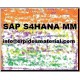 sap s4hana mm course